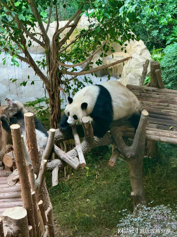 四川适合几月份去旅游 超详细攻略麻将胡了试玩成都旅游路线规划图(图4)