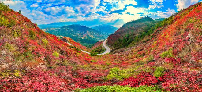 OP10：金旅假日998高分权威认证麻将